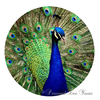 Wreath Sign * Peacock * Round * Lightweight Metal