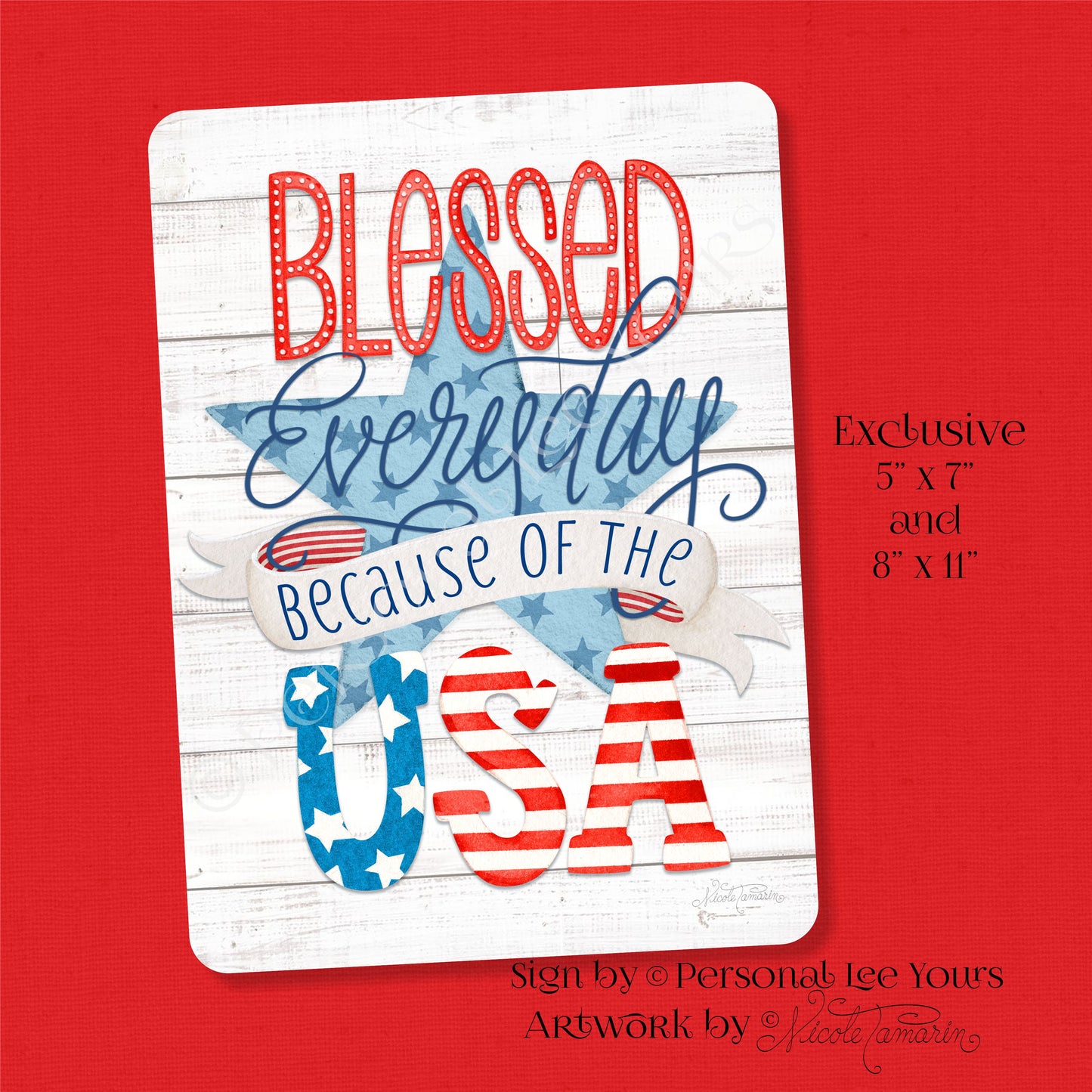 Nicole Tamarin Exclusive Sign * Blessed Everyday * Patriotic * 2 Sizes * Lightweight Metal